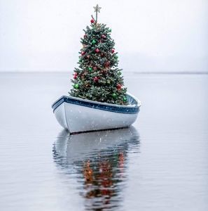 Meet your Posher, Deanna